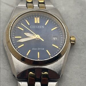 Citizen Eco-Drive Blue and Gold Watch